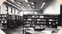 Biblioteka 1981 m.