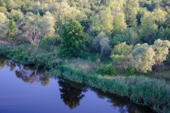Gamta – upė / Nature – river