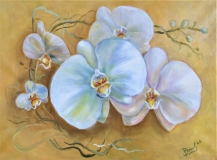 Balta orchidėja